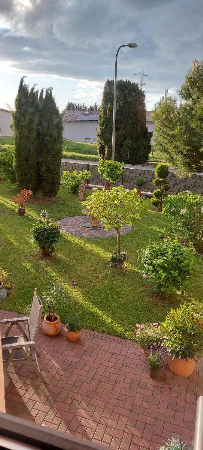 Ferienwohnung Zum Weinberg Grosskarlbach Esterno foto