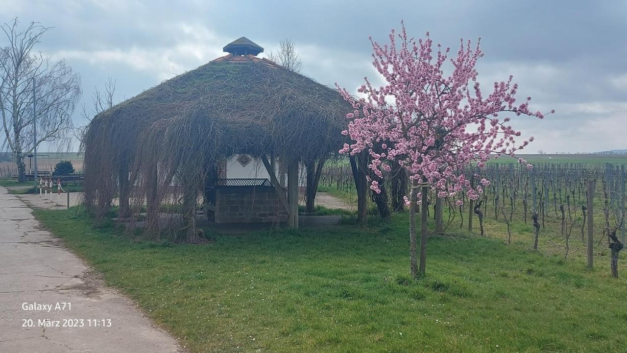 Ferienwohnung Zum Weinberg Grosskarlbach Esterno foto