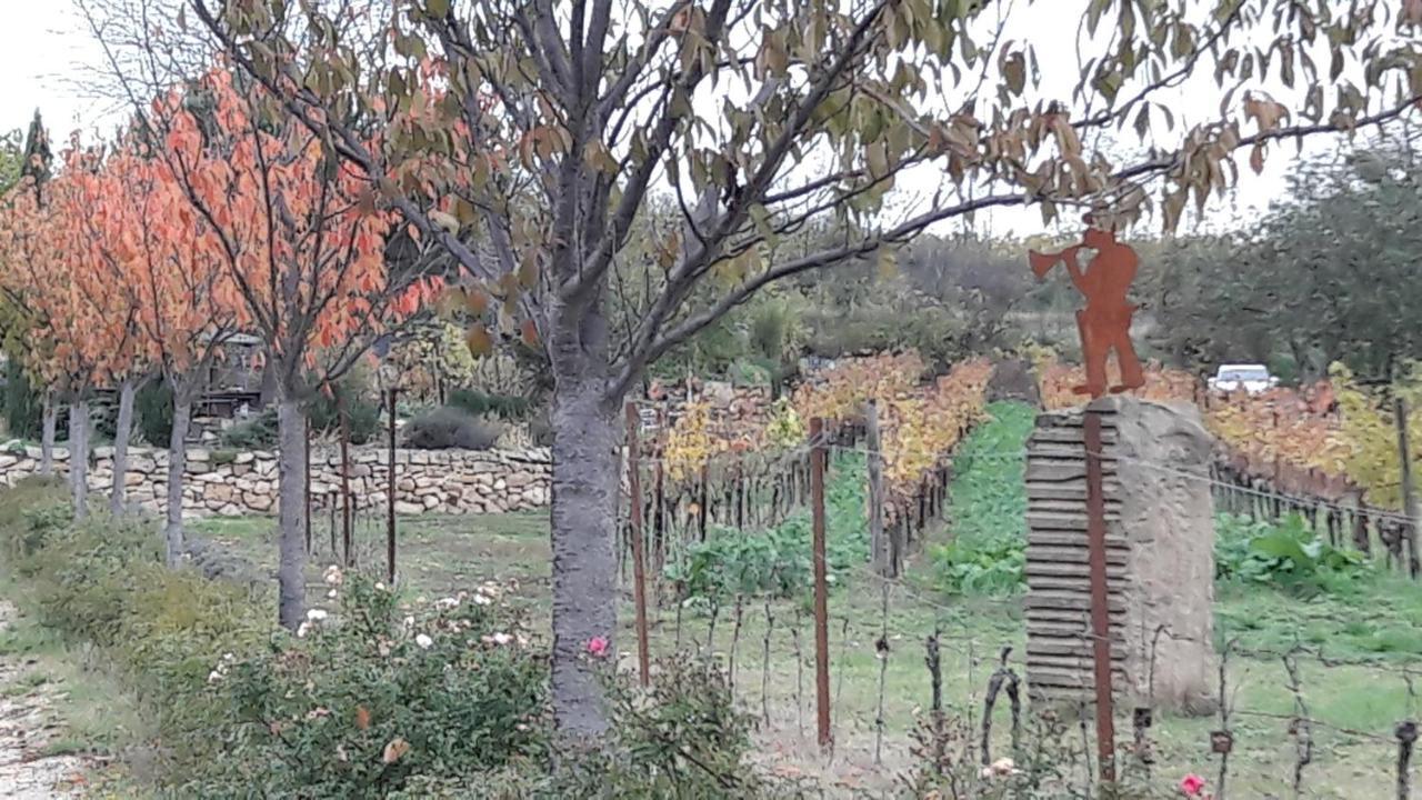 Ferienwohnung Zum Weinberg Grosskarlbach Esterno foto