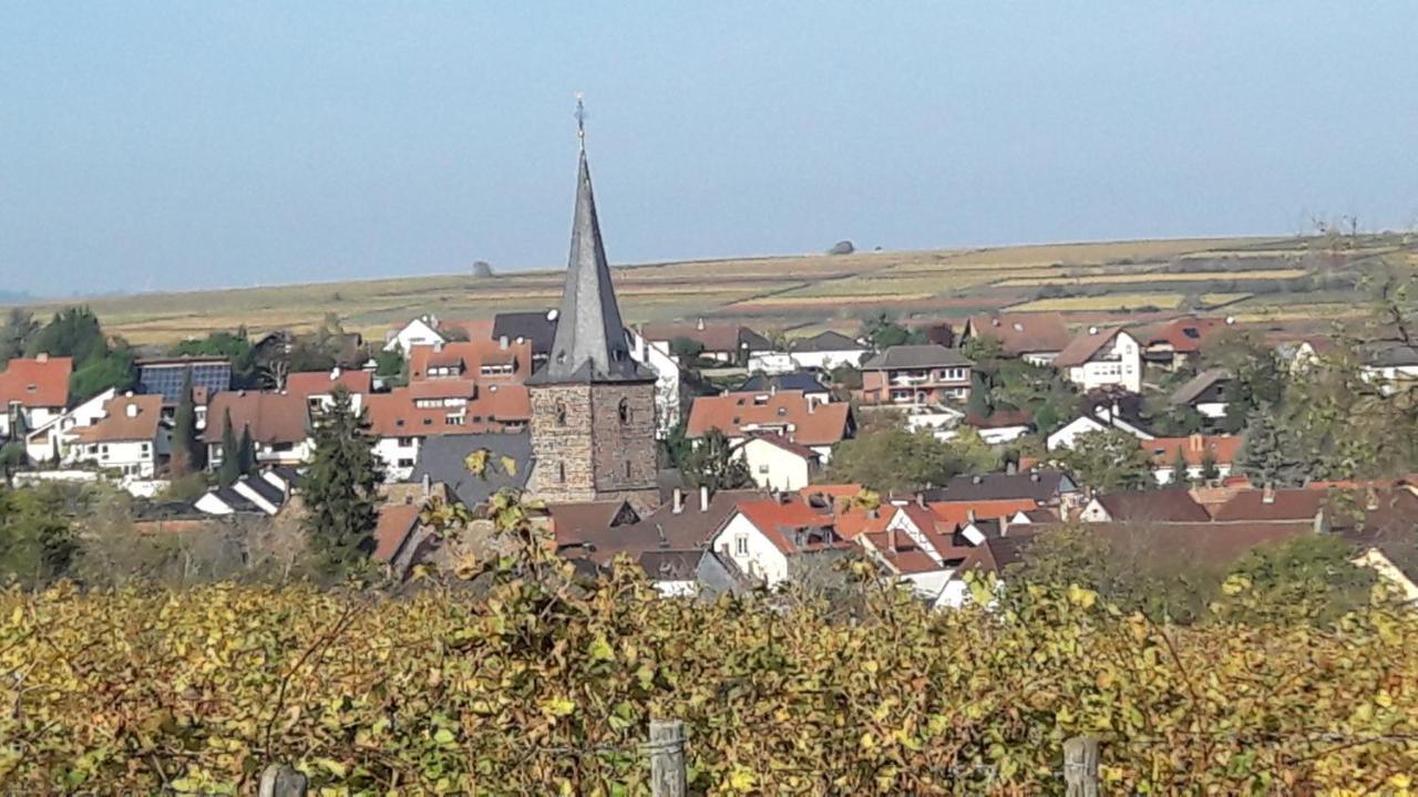 Ferienwohnung Zum Weinberg Grosskarlbach Esterno foto