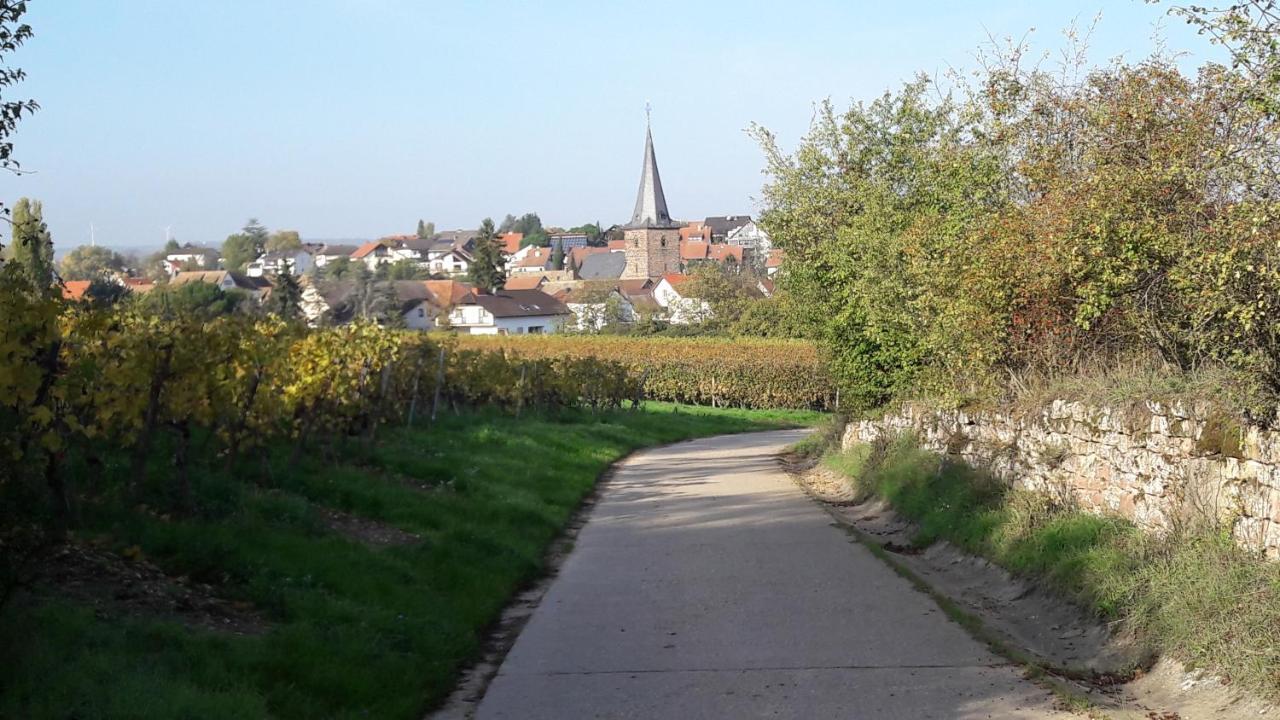 Ferienwohnung Zum Weinberg Grosskarlbach Esterno foto