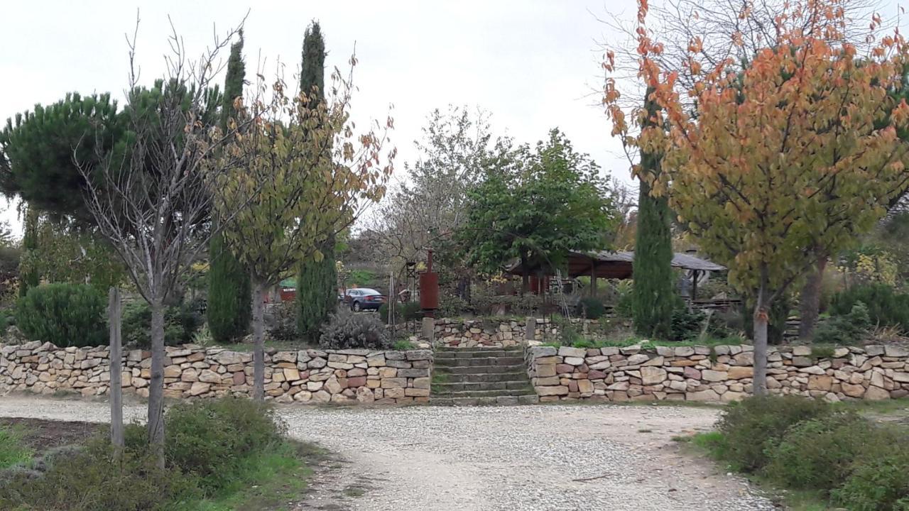 Ferienwohnung Zum Weinberg Grosskarlbach Esterno foto