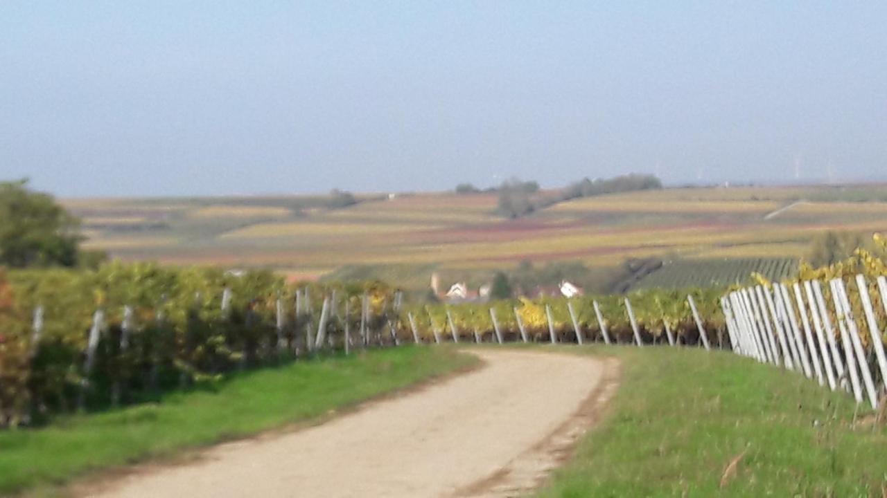 Ferienwohnung Zum Weinberg Grosskarlbach Esterno foto